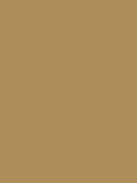 Madeira Polyneon 40 1538 Beige 1000m Cone