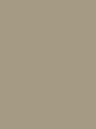 Madeira Polyneon 40 1573 Taupe 1000m Cone