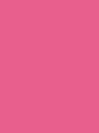 Madeira Polyneon 40 1721 Bright Pink 5000m Cone