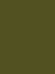 Madeira Polyneon 40 1796 Olive Green 1000m Cone