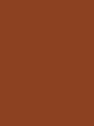 Madeira Polyneon 40 1898 Brown 1000m Cone