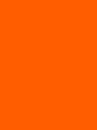 Madeira Polyneon 60 1946 Fluor Orange 1000m Cone