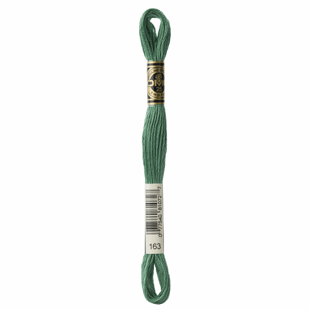 DMC Mouline 6 Strand Cotton 163 Green 8m Skein