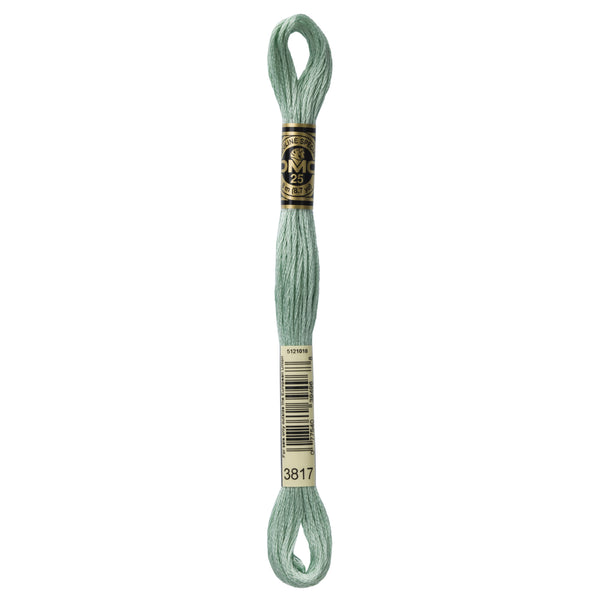 DMC Mouline 6 Strand Cotton 3817 Celadon Green Light 8m Skein