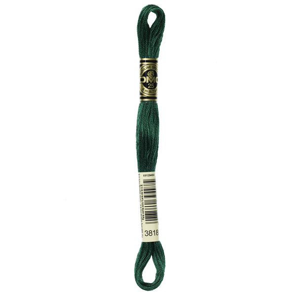 DMC Mouline 6 Strand Cotton 3818 Emerald Green Light 8m Skein