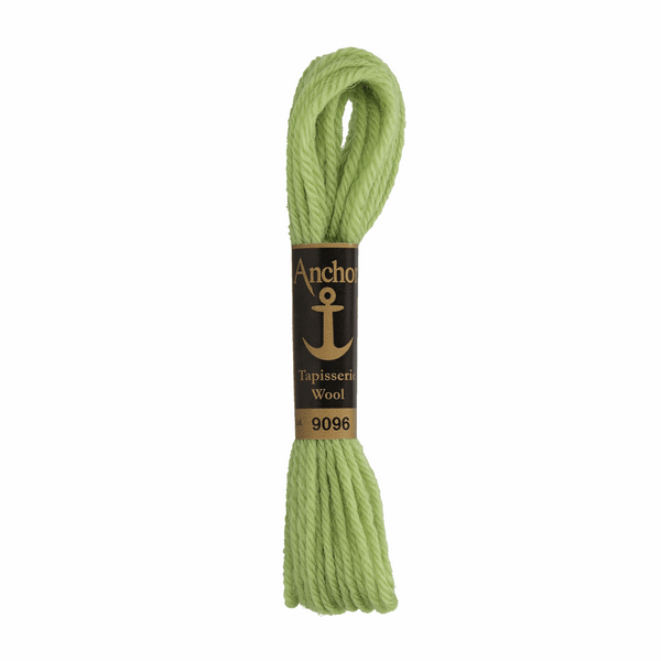 Anchor Tapestry Wool 9096 Green 10m Skein