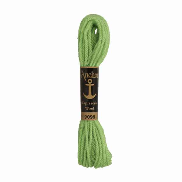 Anchor Tapestry Wool 9098 Green 10m Skein