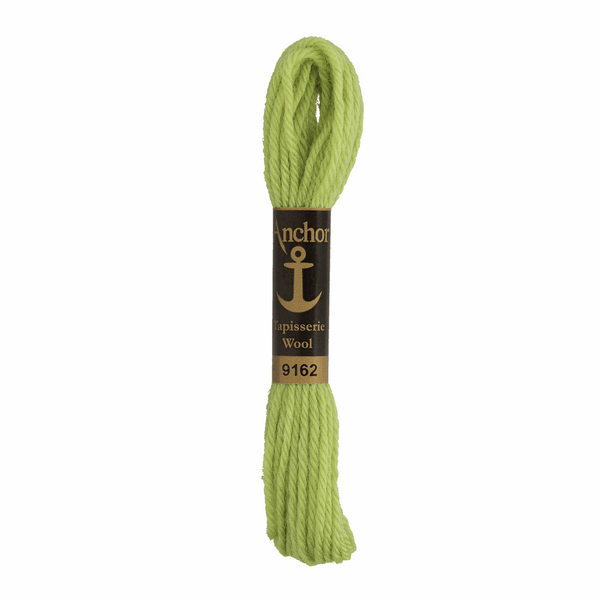 Anchor Tapestry Wool 9162 Green 10m Skein