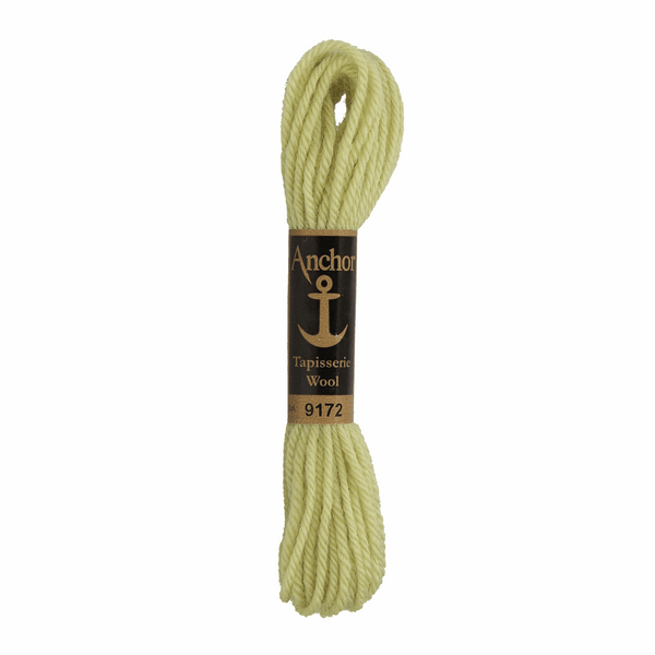 Anchor Tapestry Wool 9172 Green 10m Skein