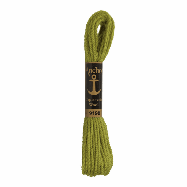 Anchor Tapestry Wool 9198 Green 10m Skein