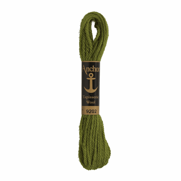 Anchor Tapestry Wool 9202 Green 10m Skein