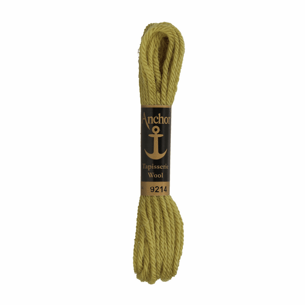 Anchor Tapestry Wool 9214 Green 10m Skein