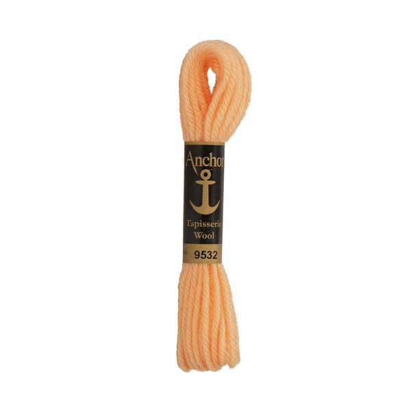 Anchor Tapestry Wool 9532 Orange 10m Skein