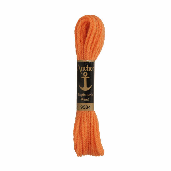 Anchor Tapestry Wool 9534 Orange 10m Skein