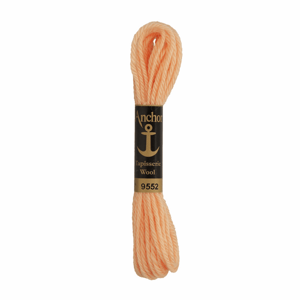 Anchor Tapestry Wool 9552 Orange 10m Skein