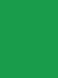 Madeira Sensa Green Col.251 5000m Green
