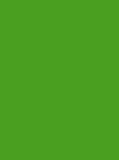 Madeira PolyNeon Fire Retardant Col. 2500m Bright Green