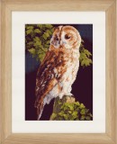 Lanarte Counted Cross Stitch Kit - Owl (Aida,B)