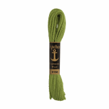 Anchor Tapestry Wool 10m Col.9166 Green
