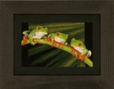 Vervaco Counted Cross Stitch Kit - Red Eye Tree Frog Trio