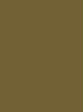 Madeira Frosted Matt 40 Col.7793 2500m Khaki