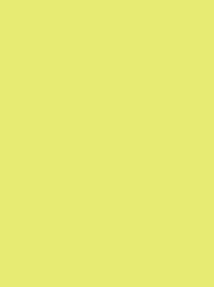 Madeira Polyneon 40 Col.1541 5000m Pale Lime