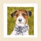 Lanarte Counted Cross Stitch Kit -  Dog