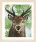 Lanarte Counted Cross Stitch Kit - Proud Red Deer
