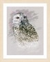 Lanarte Counted Cross Stitch Kit - Snowy Owl (Aida)